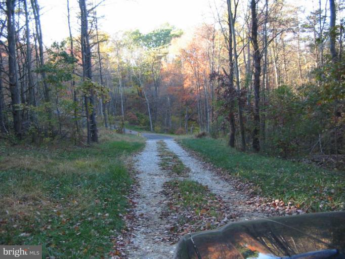19234 Falls Road Hampstead, MD 21074 - Photo 5 of 11 a view of a forest with trees