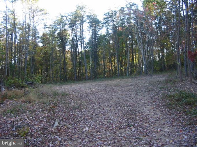 19234 Falls Road Hampstead, MD 21074 - Photo 6 of 11 a view of a forest with trees in the background