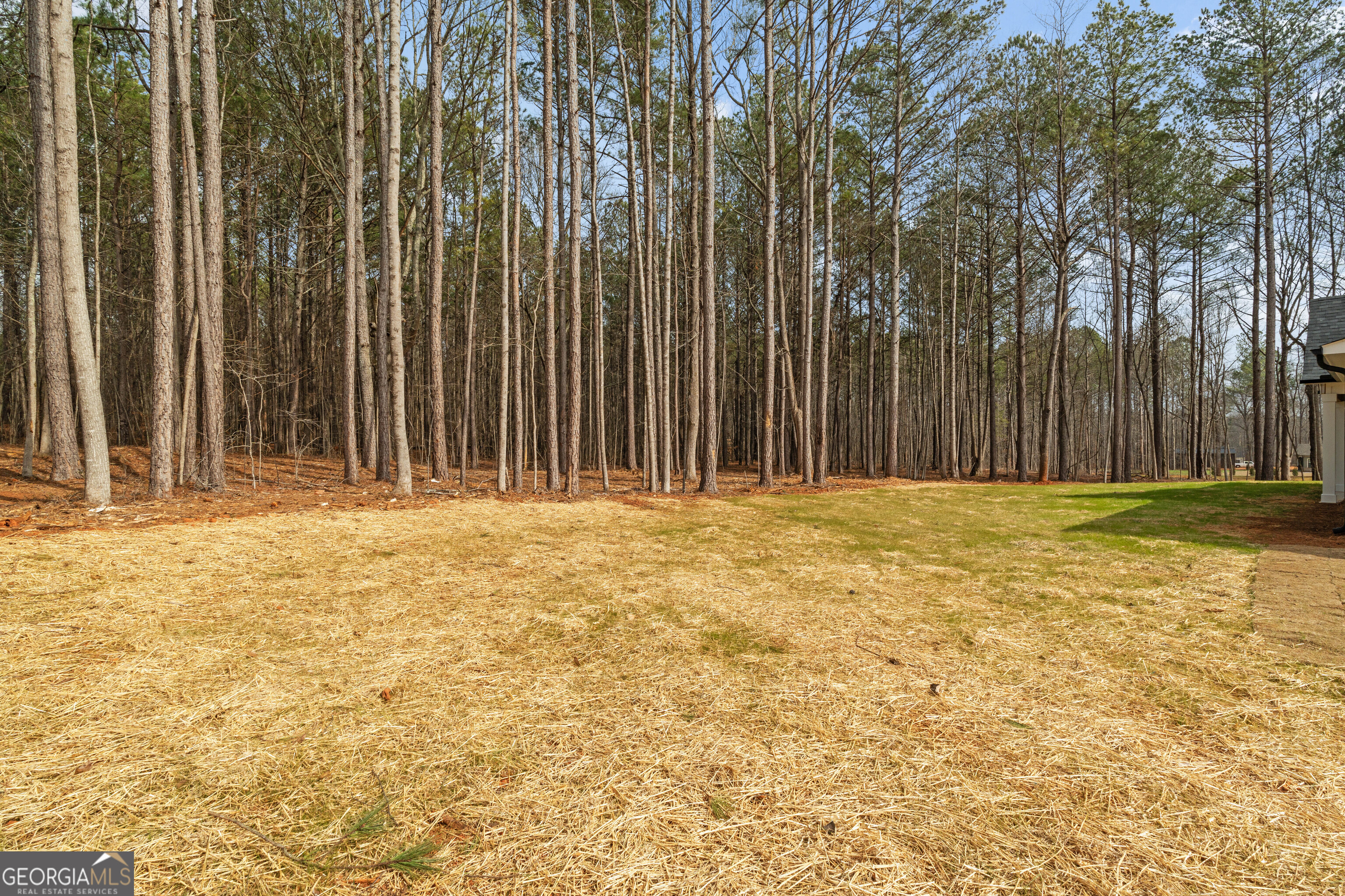 252 Spruill Bridge Road Temple, GA 30179 - Photo 47 of 53