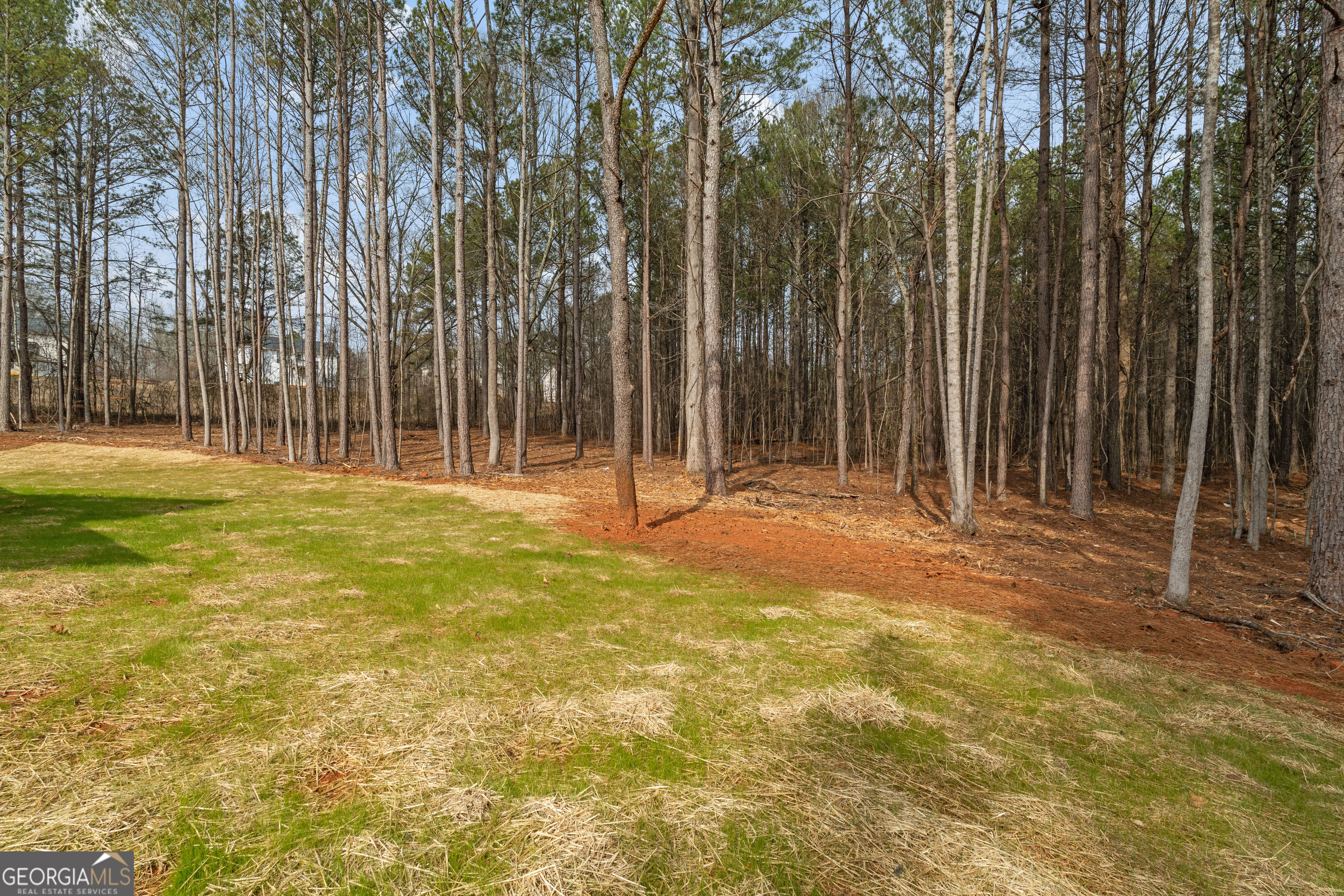 252 Spruill Bridge Road Temple, GA 30179 - Photo 48 of 53