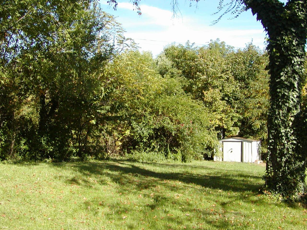 1908 Langdon Road Southwest Roanoke, VA 24015 - Photo 5 of 5 Yard