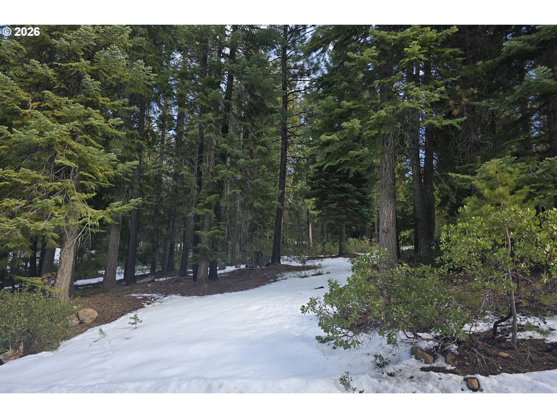 16 Clear Spring Way Crescent Lake, OR 97733 - Photo 11 of 11 a view of outdoor space and yard