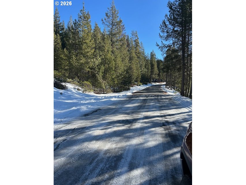 16 Clear Spring Way Crescent Lake, OR 97733 - Photo 6 of 11 a view of a yard