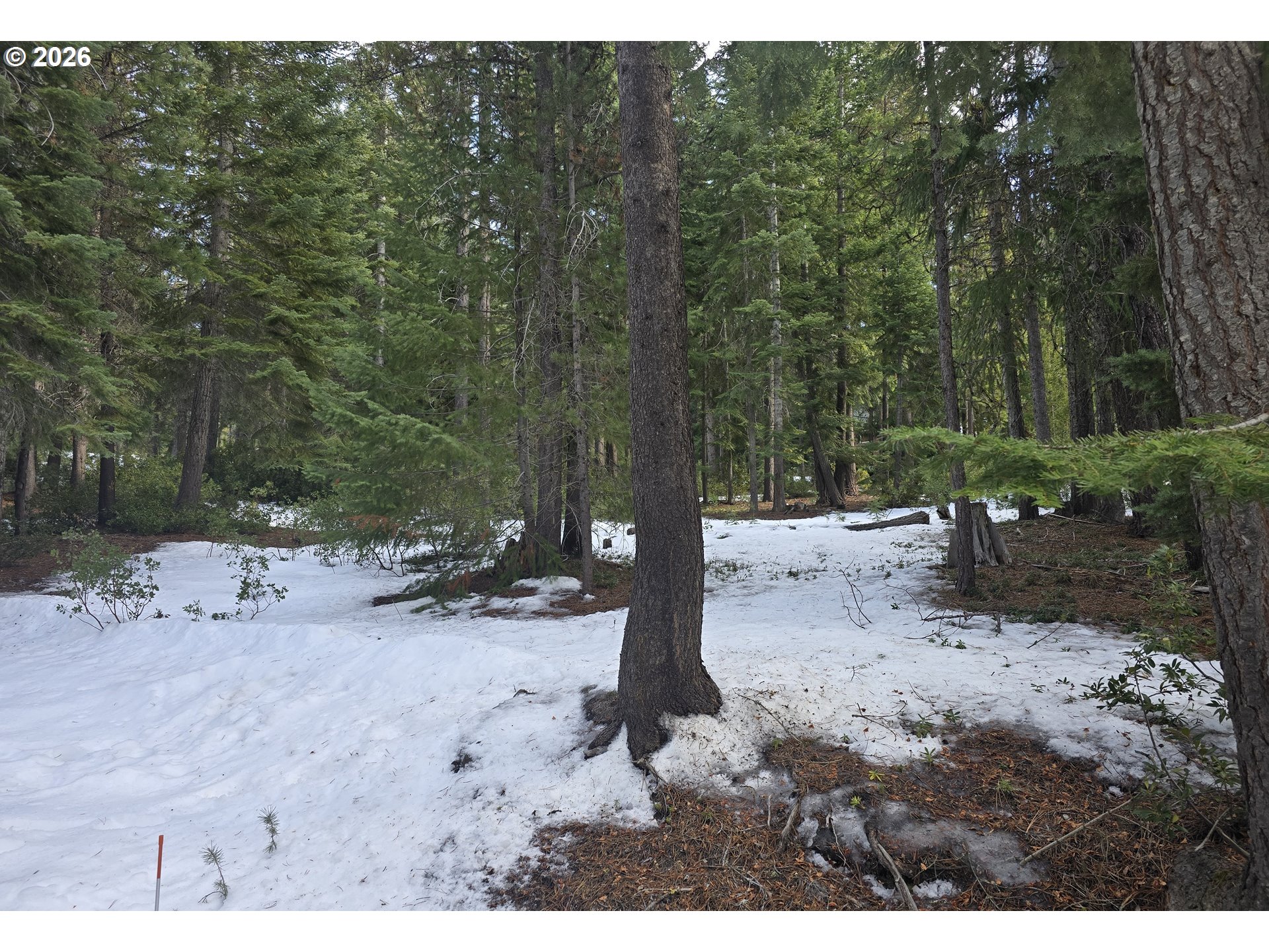 16 Clear Spring Way Crescent Lake, OR 97733 - Photo 8 of 11 a view of a dry yard with trees and barn in the background