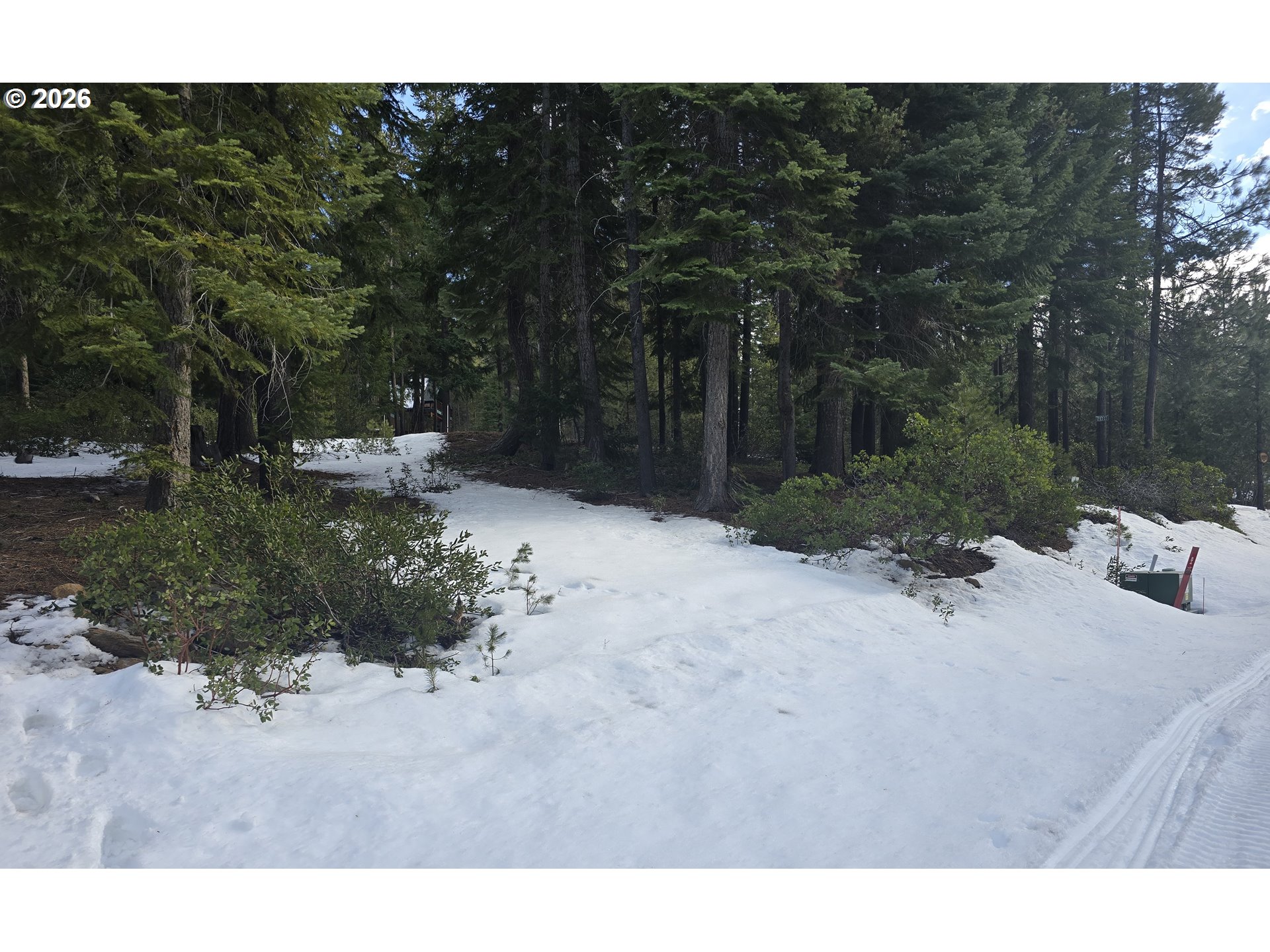 16 Clear Spring Way Crescent Lake, OR 97733 - Photo 9 of 11 a view of a backyard