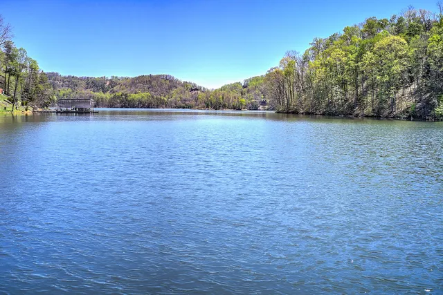 $165,000 | Lot 3 Coves Edge Drive, Unit 3, Butler, TN 37640