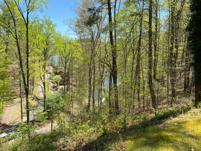 $165,000 | Lot 3 Coves Edge Drive, Unit 3, Butler, TN 37640