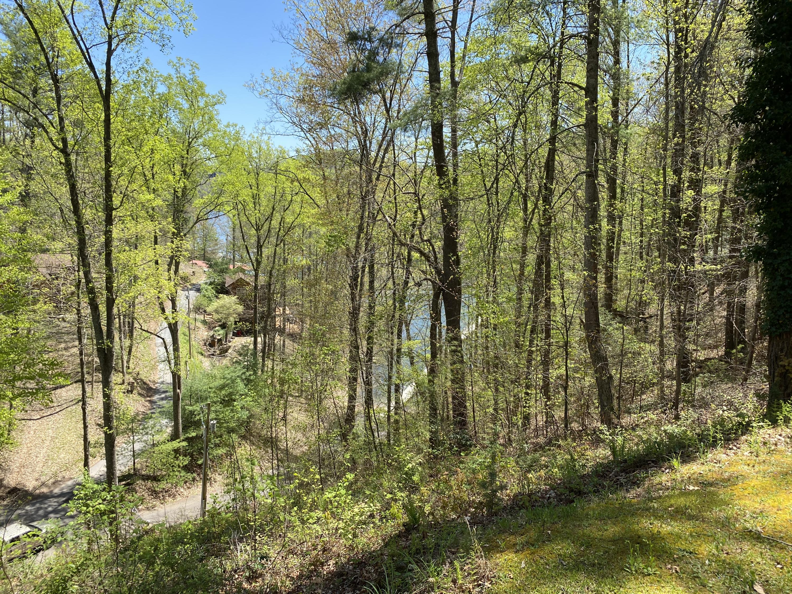 Lot 3 Coves Edge Drive, Unit 3 Butler, TN 37640 - Photo 17 of 49 4127F7BB-C7B2-475E-A5E9-E534F19EFDF2