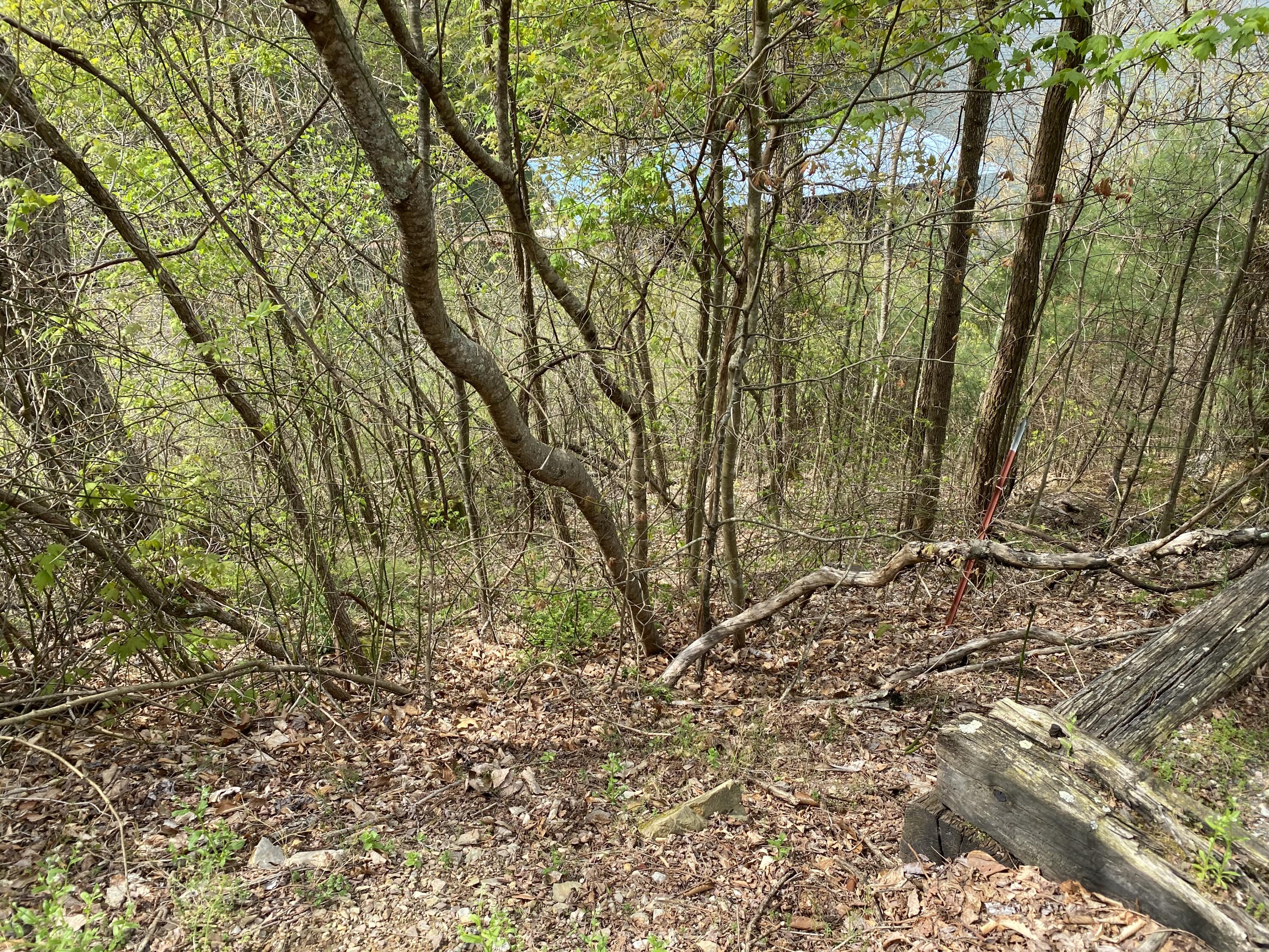 Lot 3 Coves Edge Drive, Unit 3 Butler, TN 37640 - Photo 19 of 49 F68F3687-EBB7-4C2C-9D41-9C4DF1055280