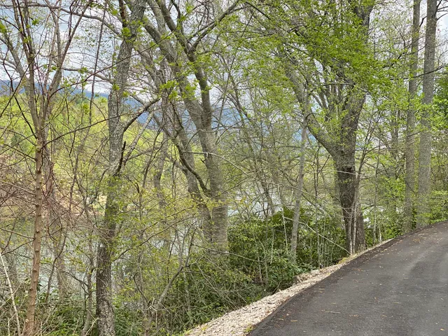 $165,000 | Lot 3 Coves Edge Drive, Unit 3, Butler, TN 37640