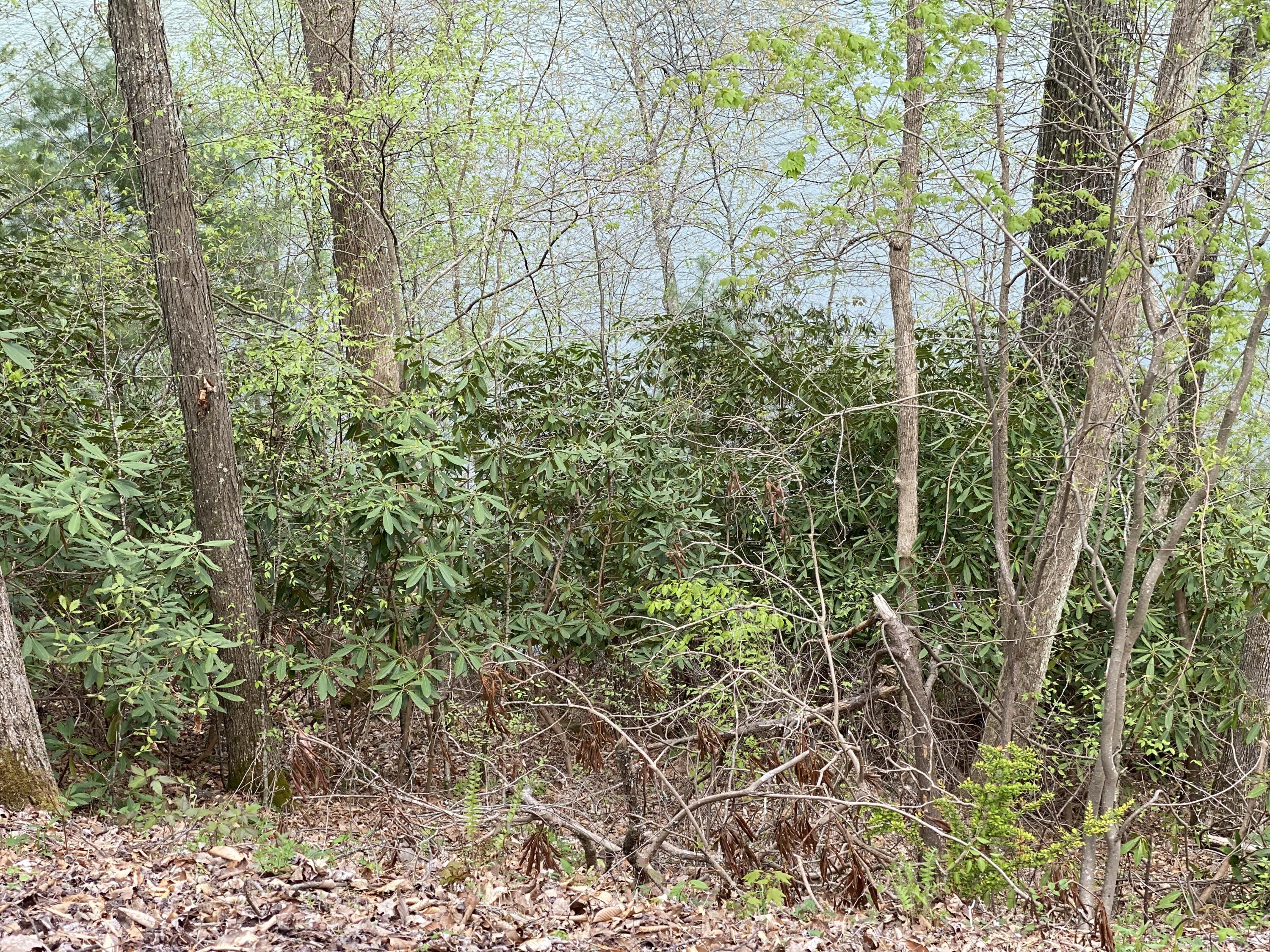 Lot 3 Coves Edge Drive, Unit 3 Butler, TN 37640 - Photo 21 of 49 37DB79C5-E865-46F4-8B8C-D6CB8DDFB0CE