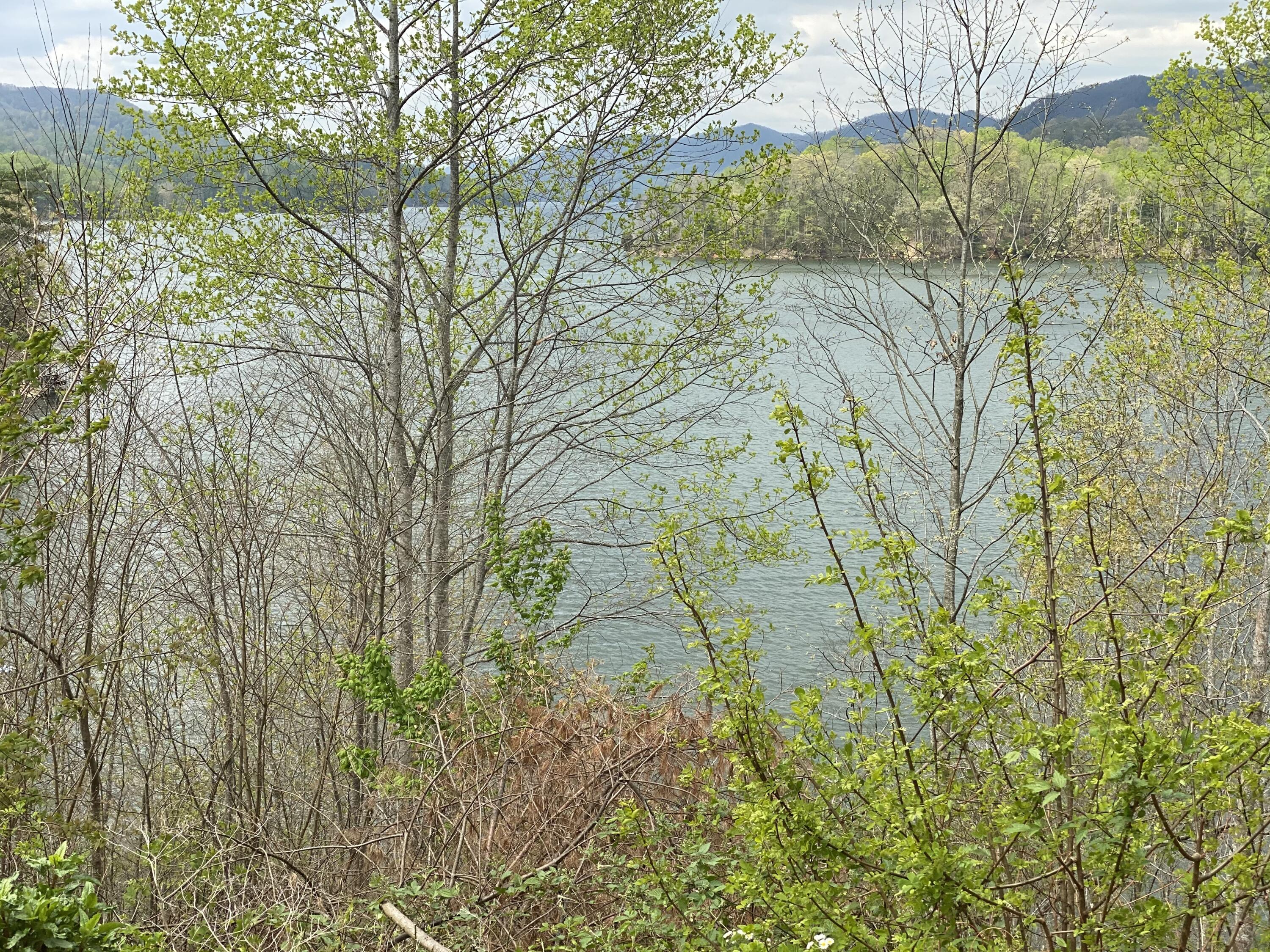 Lot 3 Coves Edge Drive, Unit 3 Butler, TN 37640 - Photo 22 of 49 2E329C48-9628-407E-973A-E10C2D425643