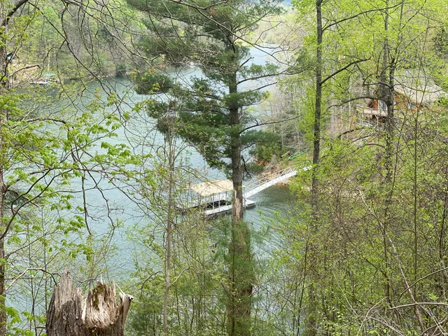 $165,000 | Lot 3 Coves Edge Drive, Unit 3, Butler, TN 37640