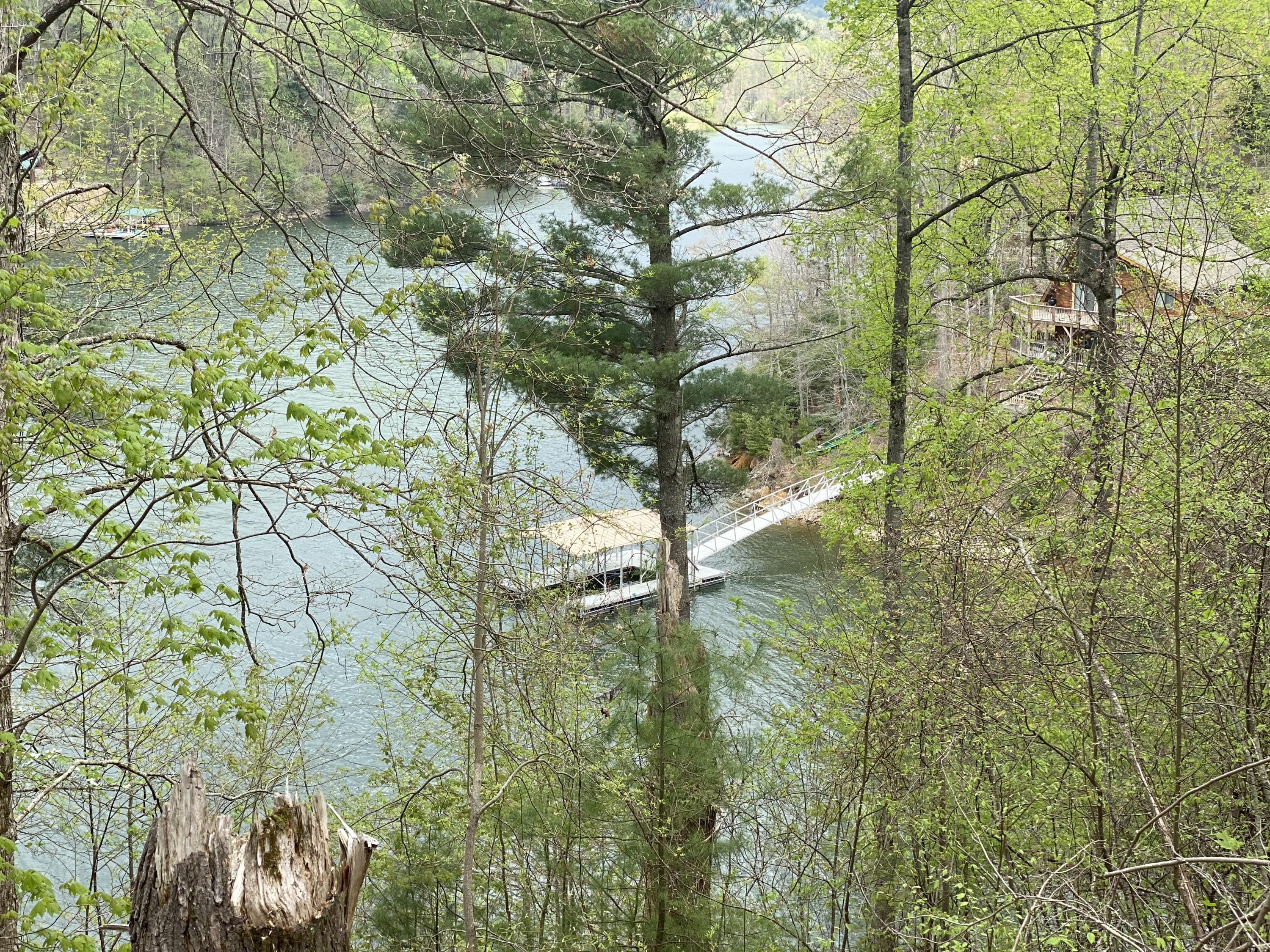 Lot 3 Coves Edge Drive, Unit 3 Butler, TN 37640 - Photo 24 of 49 A1B232C0-178D-4ED9-BB97-9A44C4CB62D9