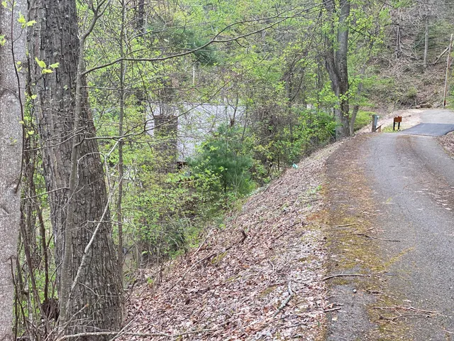 $165,000 | Lot 3 Coves Edge Drive, Unit 3, Butler, TN 37640