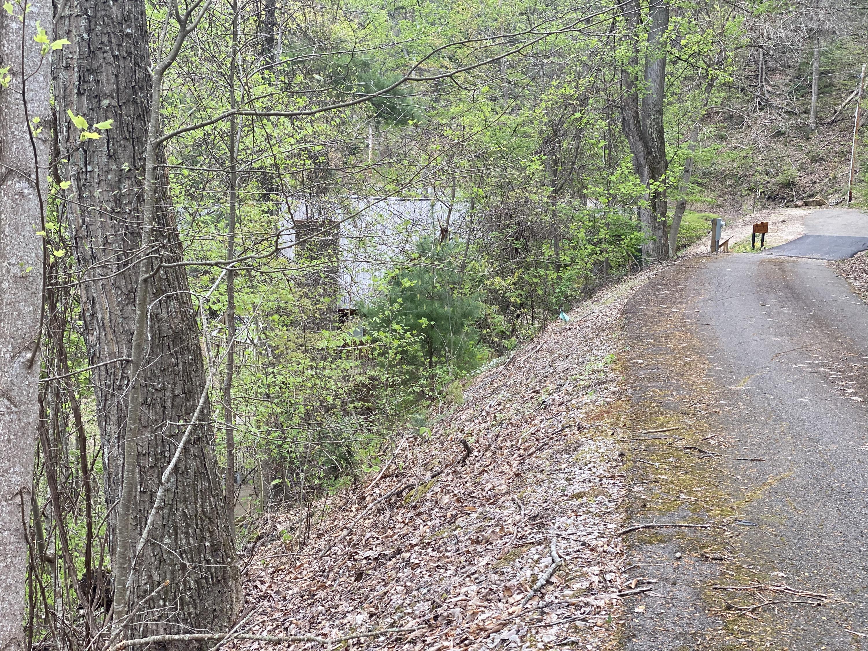 Lot 3 Coves Edge Drive, Unit 3 Butler, TN 37640 - Photo 25 of 49 5D965450-4652-4059-8144-AD473AFB4BF3