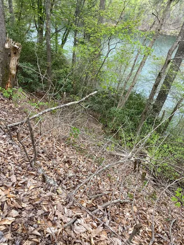 $165,000 | Lot 3 Coves Edge Drive, Unit 3, Butler, TN 37640