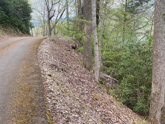 $165,000 | Lot 3 Coves Edge Drive, Unit 3, Butler, TN 37640