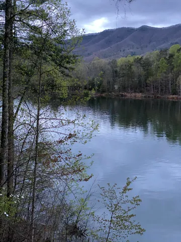 $165,000 | Lot 3 Coves Edge Drive, Unit 3, Butler, TN 37640