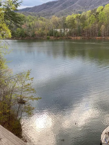 $165,000 | Lot 3 Coves Edge Drive, Unit 3, Butler, TN 37640