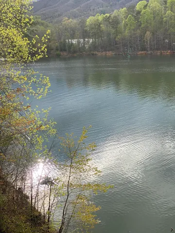 $165,000 | Lot 3 Coves Edge Drive, Unit 3, Butler, TN 37640