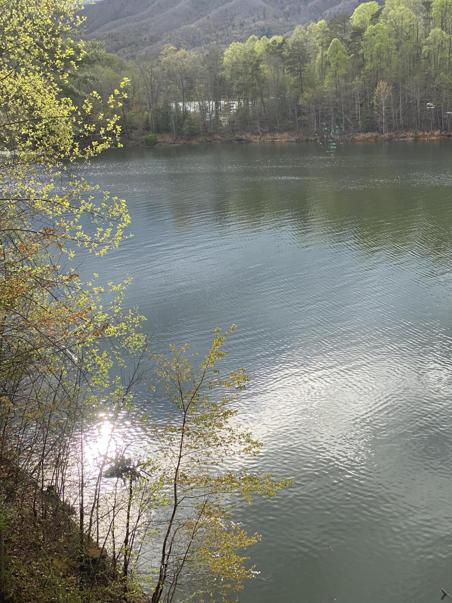Lot 3 Coves Edge Drive, Unit 3 Butler, TN 37640 - Photo 30 of 49 00DD451F-CC9A-4E0F-8665-6EBEA8526A87