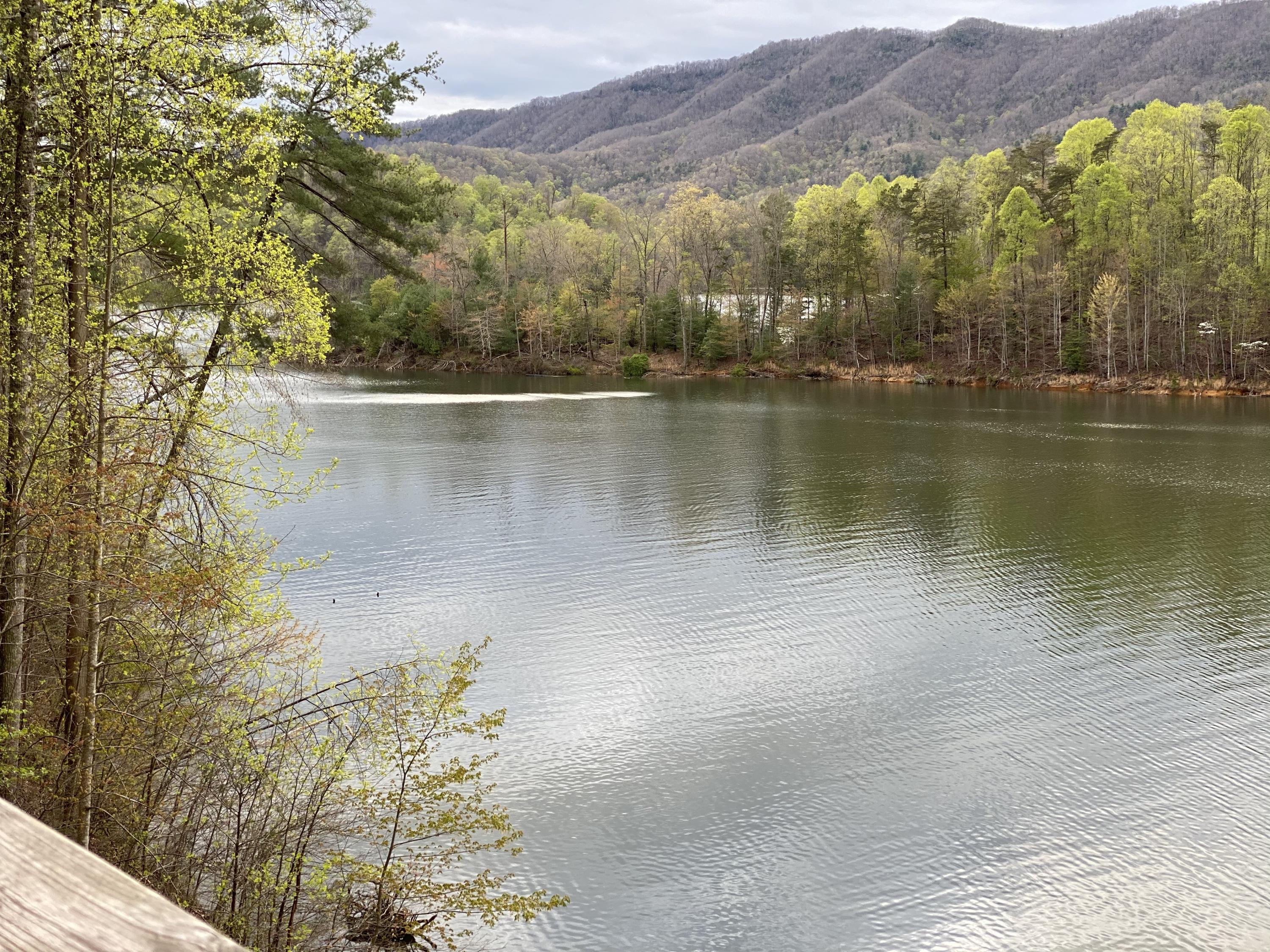 Lot 3 Coves Edge Drive, Unit 3 Butler, TN 37640 - Photo 31 of 49 2D25A6C1-9654-4487-AAAE-6C8BC1C5D9BD