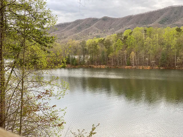 $165,000 | Lot 3 Coves Edge Drive, Unit 3, Butler, TN 37640