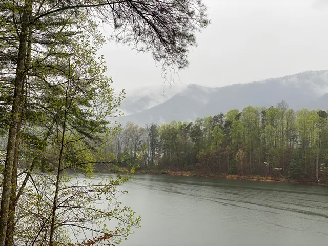 $165,000 | Lot 3 Coves Edge Drive, Unit 3, Butler, TN 37640