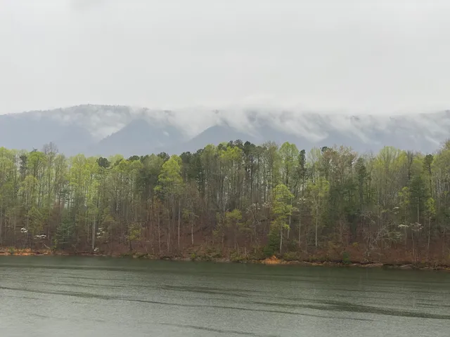 $165,000 | Lot 3 Coves Edge Drive, Unit 3, Butler, TN 37640