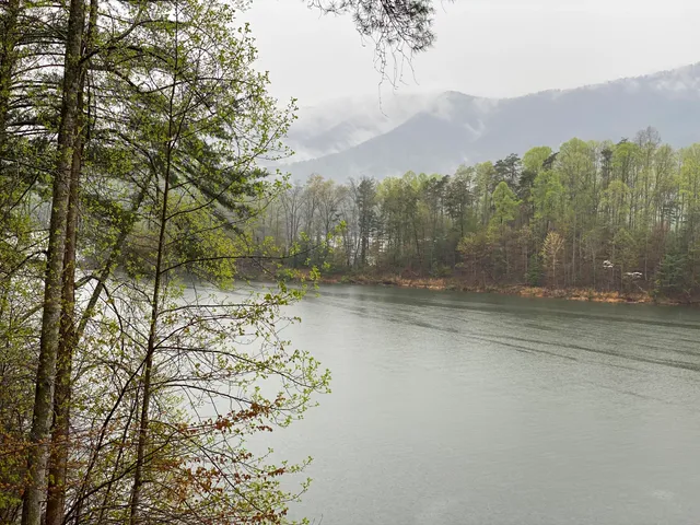 $165,000 | Lot 3 Coves Edge Drive, Unit 3, Butler, TN 37640