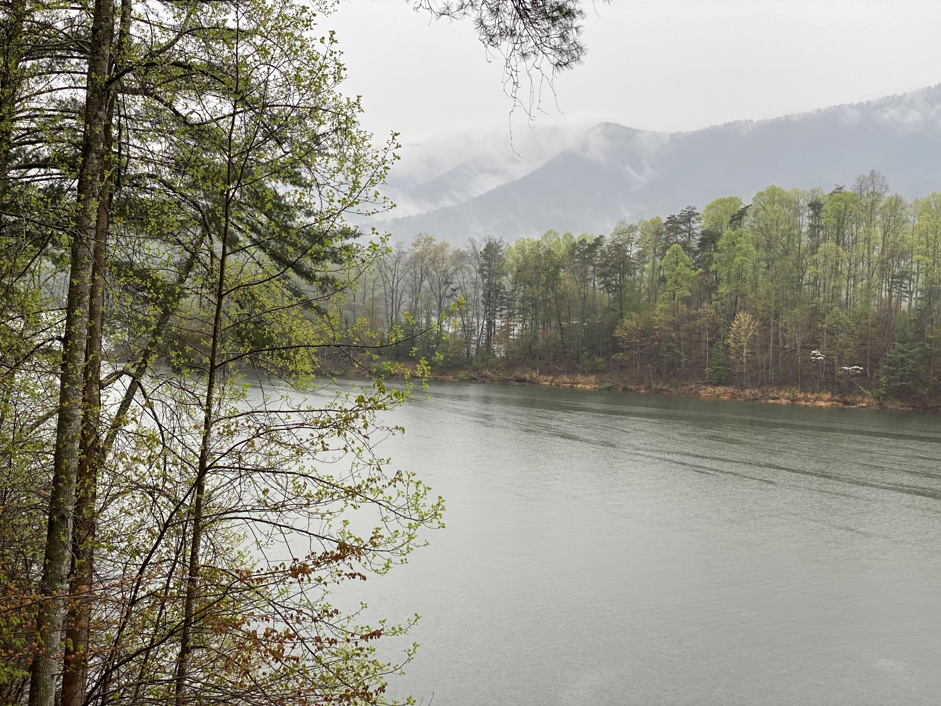 Lot 3 Coves Edge Drive, Unit 3 Butler, TN 37640 - Photo 36 of 49 BE572CF5-D1B5-44EE-BDCE-8F4697B172B8