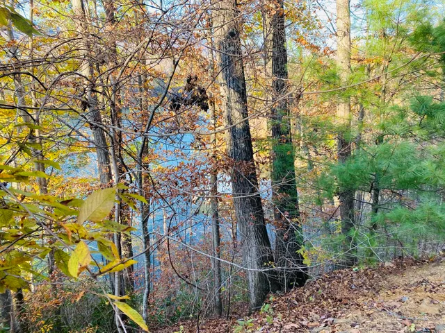 $165,000 | Lot 3 Coves Edge Drive, Unit 3, Butler, TN 37640