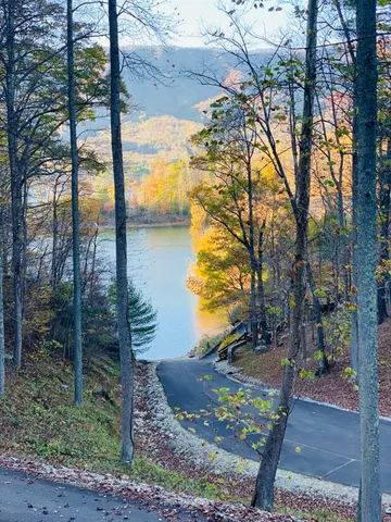 $165,000 | Lot 3 Coves Edge Drive, Unit 3, Butler, TN 37640