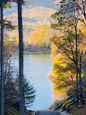 $165,000 | Lot 3 Coves Edge Drive, Unit 3, Butler, TN 37640