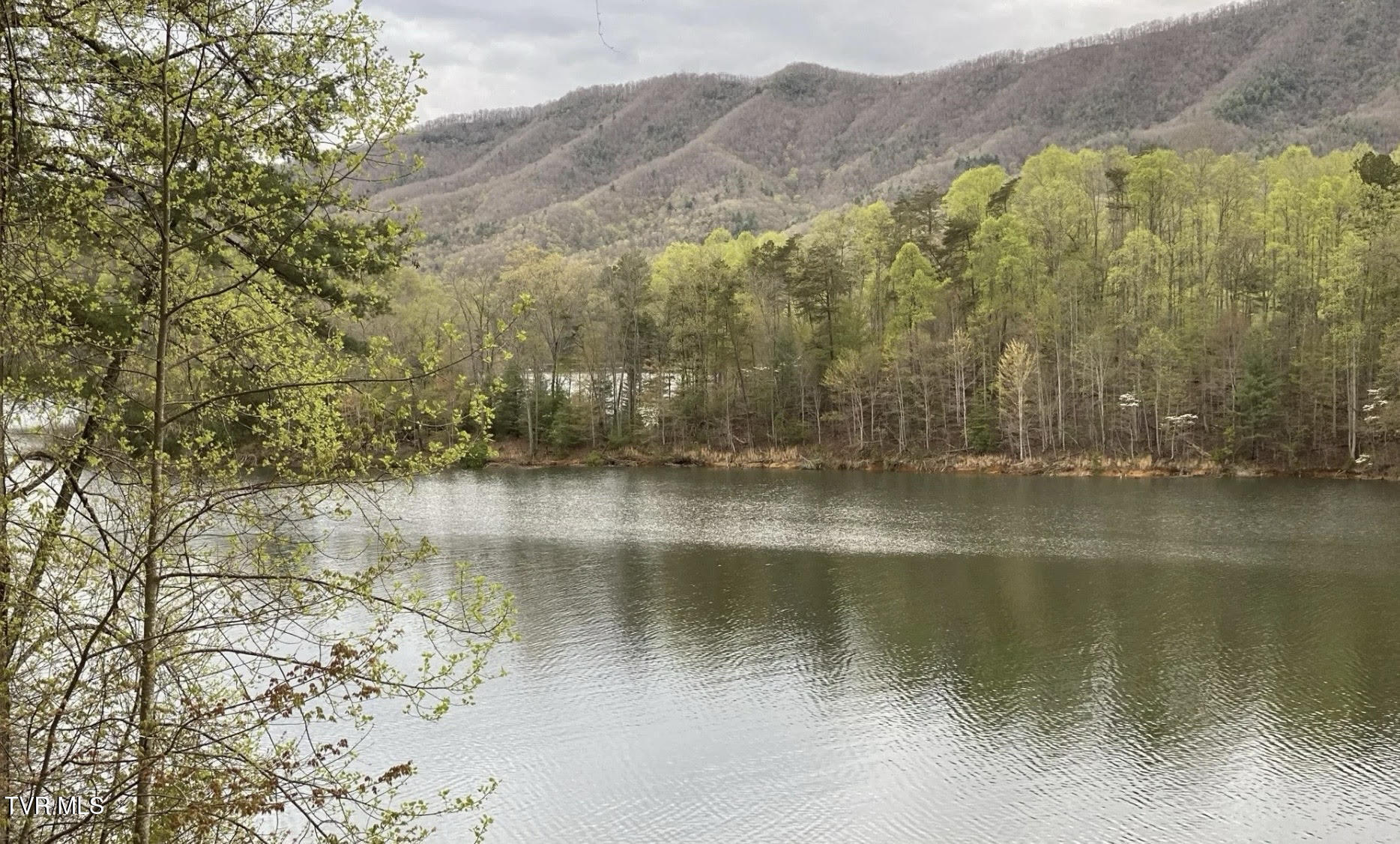 Lot 3 Coves Edge Drive, Unit 3 Butler, TN 37640 - Photo 47 of 49 lot3