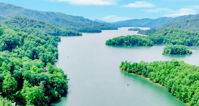 $165,000 | Lot 3 Coves Edge Drive, Unit 3, Butler, TN 37640