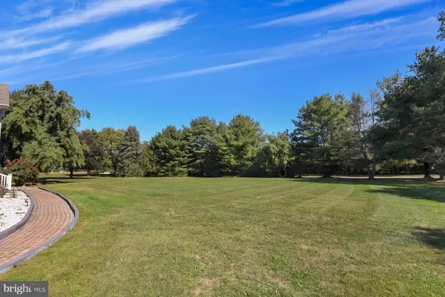 a view of a big yard with a trees