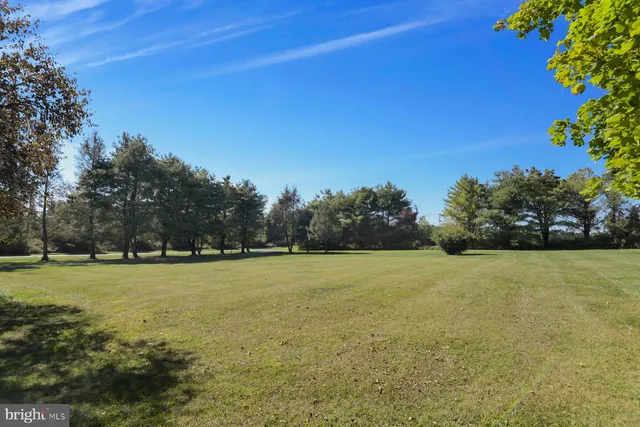 a view of a field with an trees