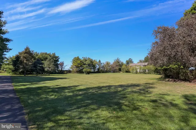 a big yard with lots of green space
