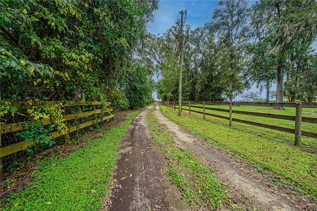 12615 Northwest Gainesville Road Reddick, FL 32686 - Photo 68 of 88 Gallery Image 68