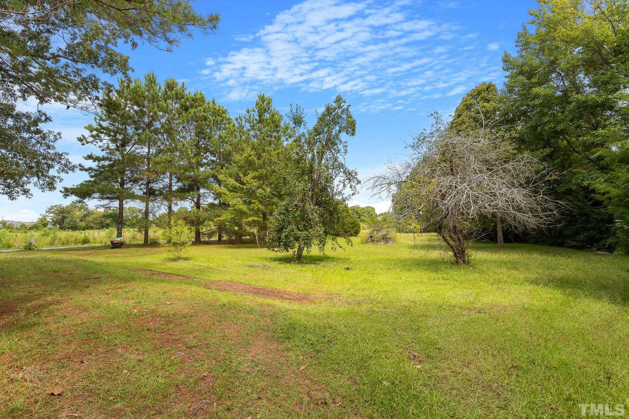 599 Federal Road Benson, NC 27504 - Photo 4 of 30