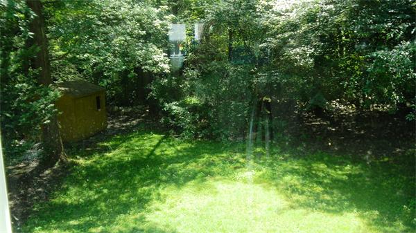 68 Sylvan Road Needham, MA 02492 - Photo 12 of 12
