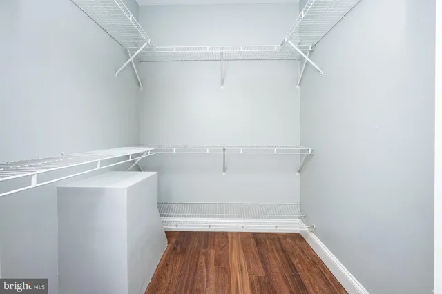 a backyard of a house with large trees and outdoor space