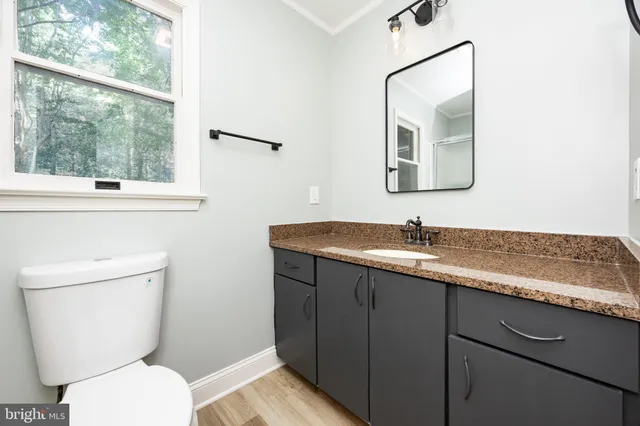 a view of a house with a yard and large tree