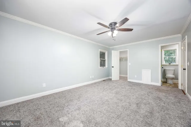 a view of a house with a small yard and large trees