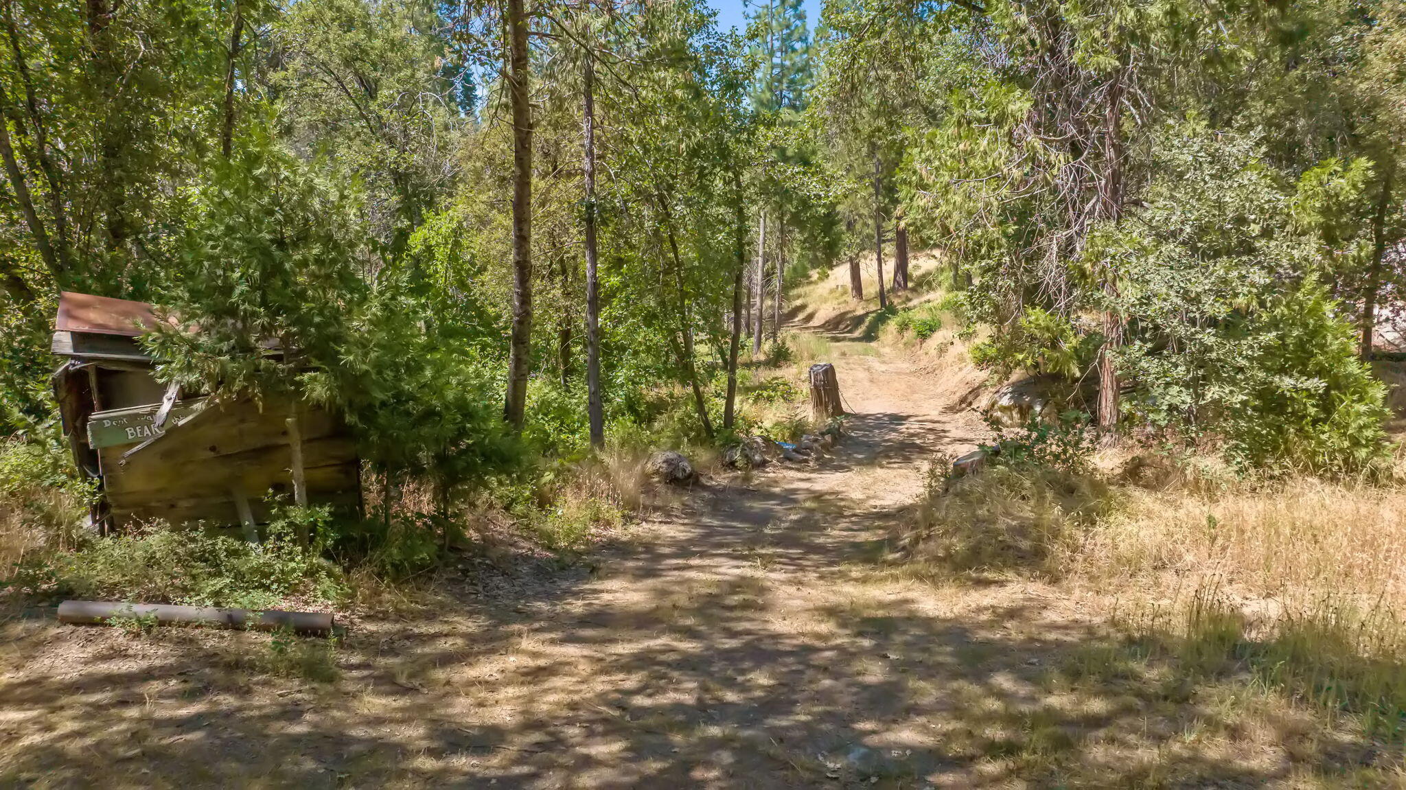 48675 Todd Eymann Road Miramonte, CA 93641 - Photo 99 of 103 98-web-or-mls-66-print-DJI_2024080514414