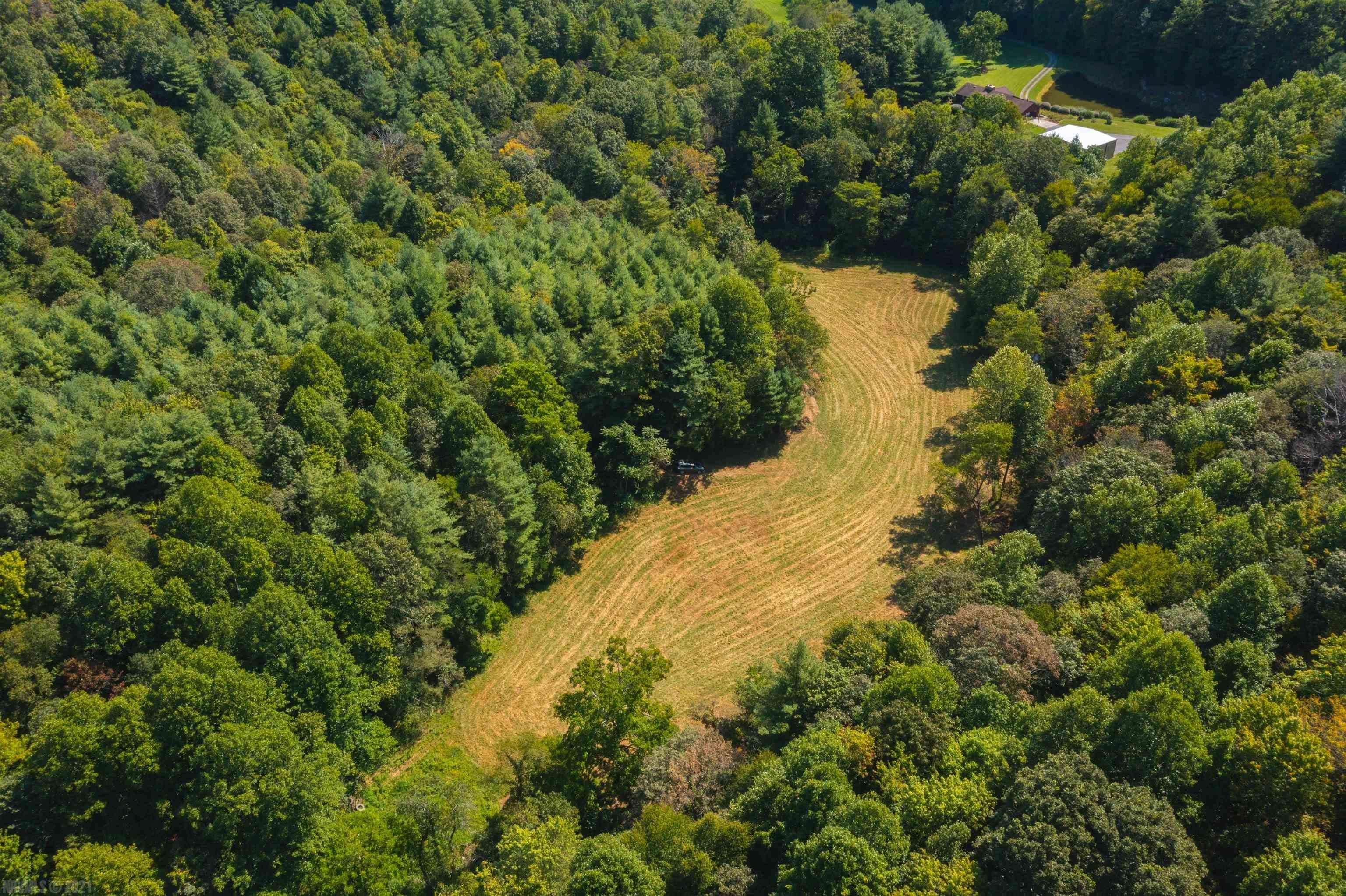 Tbd Beaver Creek Road Northwest Floyd, VA 24091 - Photo 22 of 34 Gallery Image 22