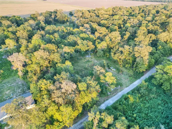$90,000 | Tbd Lost Forest Drive, Guy, TX 77444