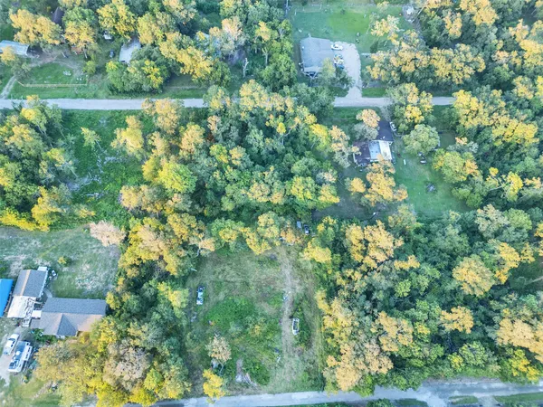 $90,000 | Tbd Lost Forest Drive, Guy, TX 77444